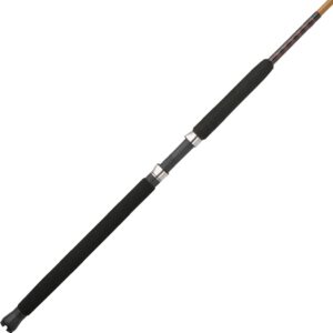 Conventional rod