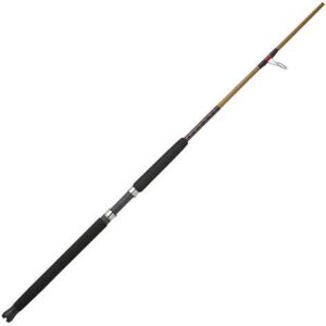 Spinning rod