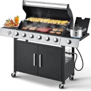 6-Burner Propane Stainless Steel Grill