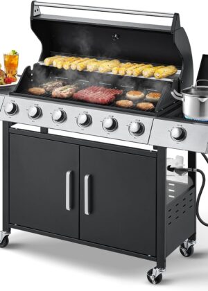 6-Burner Propane Stainless Steel Grill